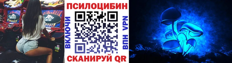 Купить закладки  Вытегра  Псилоцибиновые грибы мицелий 